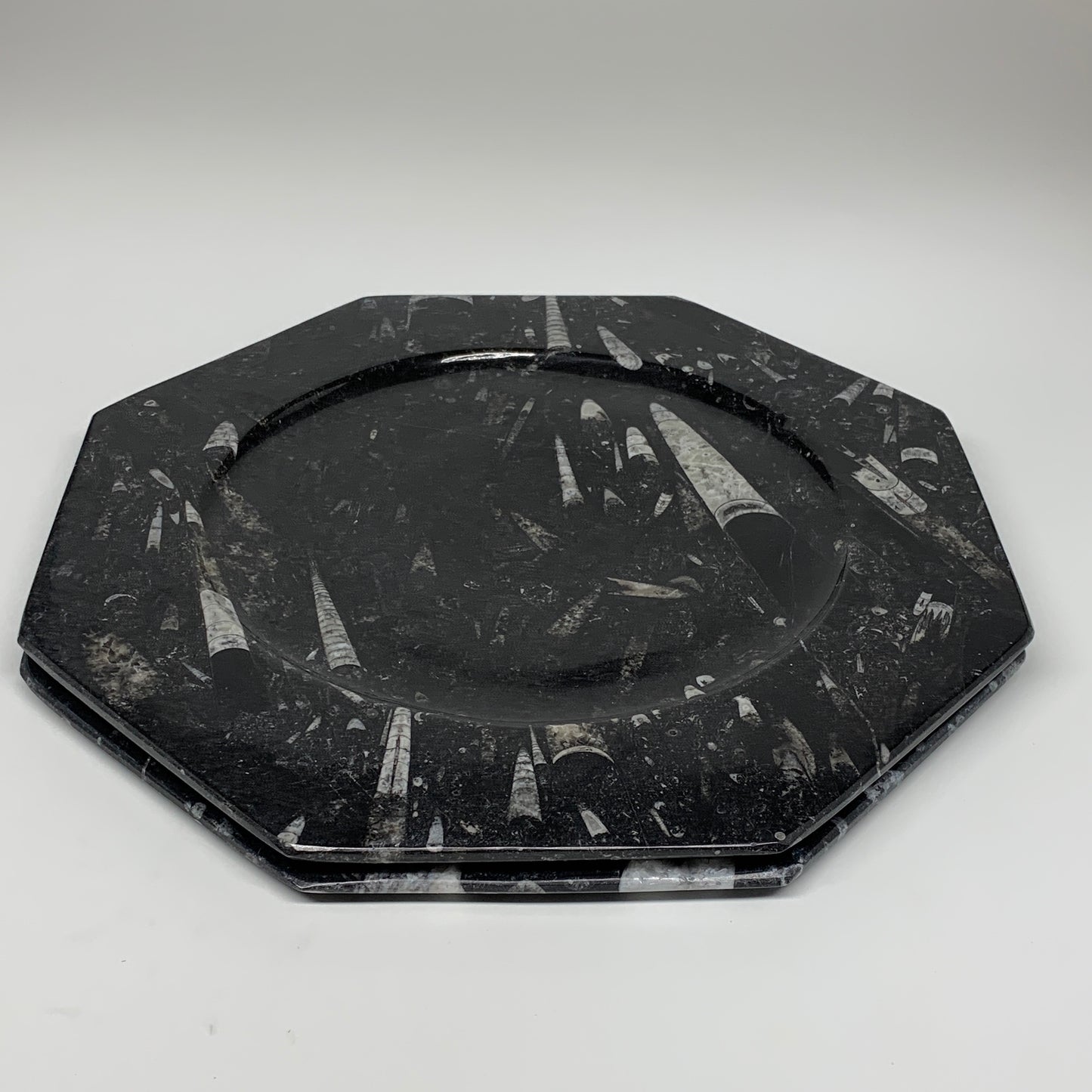 2pcs, 12" Large Octagon Shape Black Fossils Orthoceras Plates @Morocco, B8320