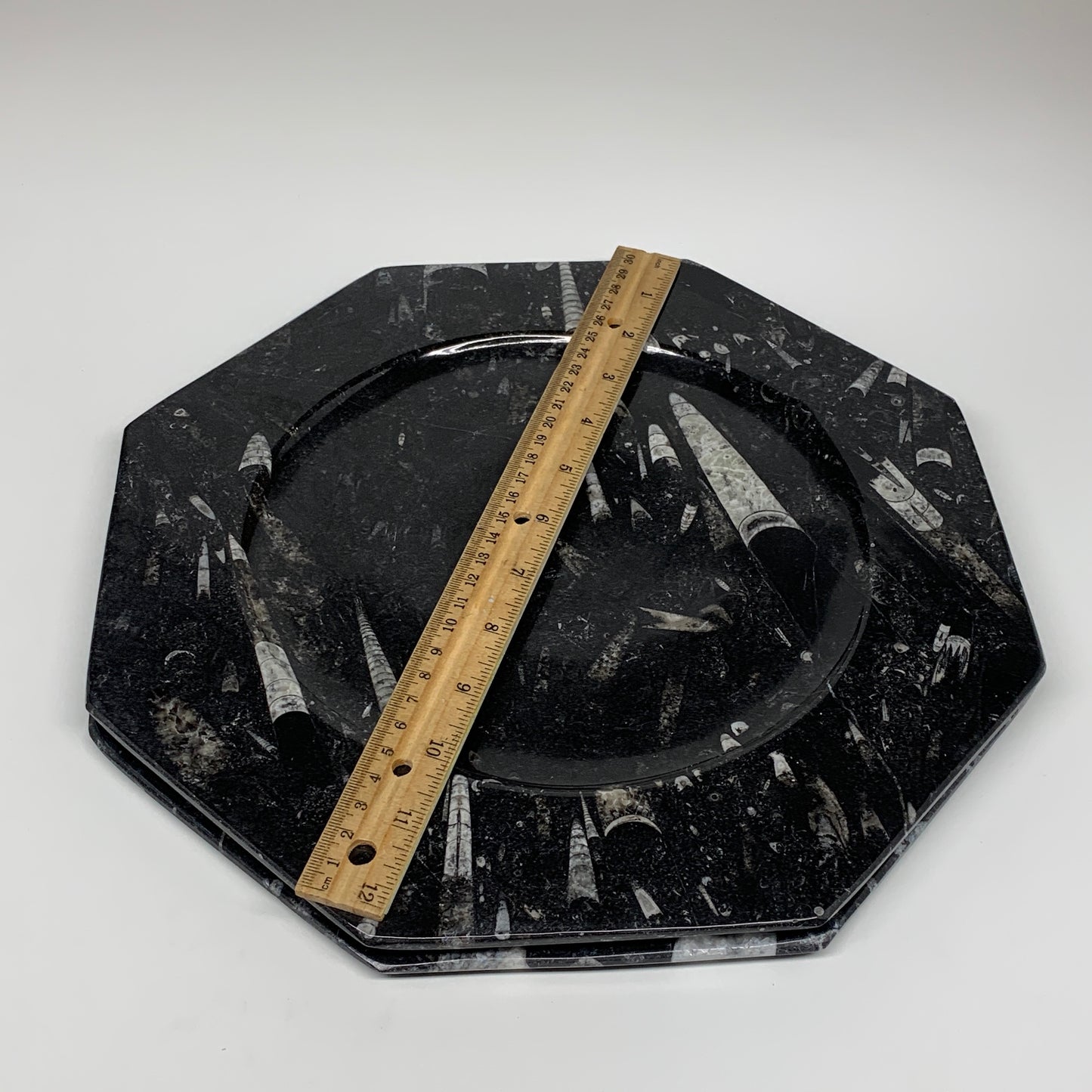 2pcs, 12" Large Octagon Shape Black Fossils Orthoceras Plates @Morocco, B8320