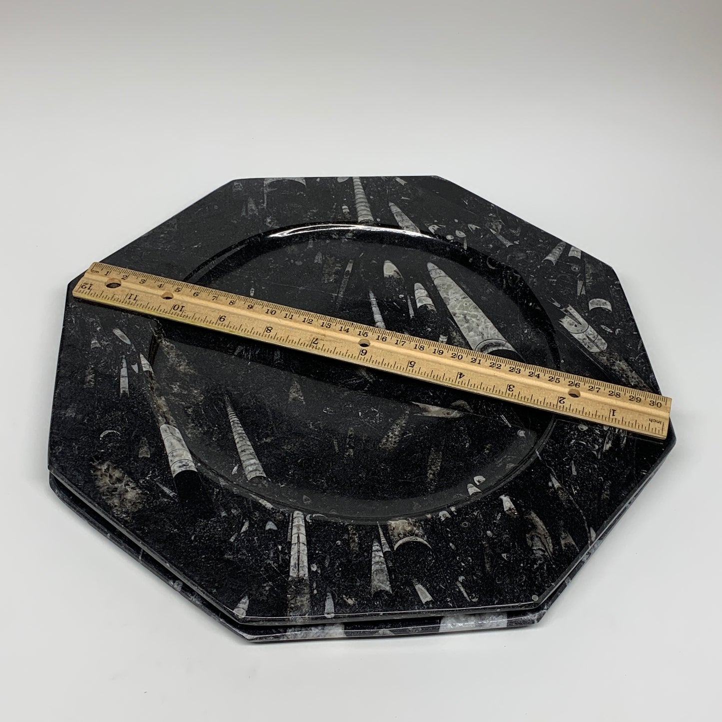 2pcs, 12" Large Octagon Shape Black Fossils Orthoceras Plates @Morocco, B8320