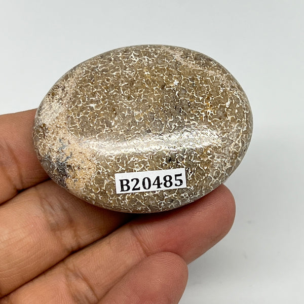 47.7g,2"x1.6"x0.8", Small Dinosaur Bones Palm-Stone from Morocco, B20485