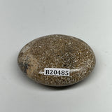 47.7g,2"x1.6"x0.8", Small Dinosaur Bones Palm-Stone from Morocco, B20485