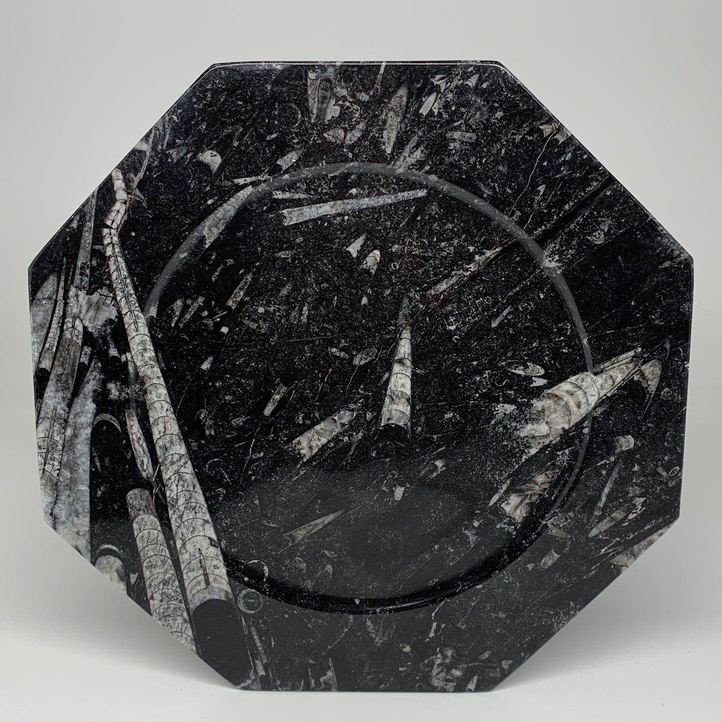 2pcs, 12" Large Octagon Shape Black Fossils Orthoceras Plates @Morocco, B8323