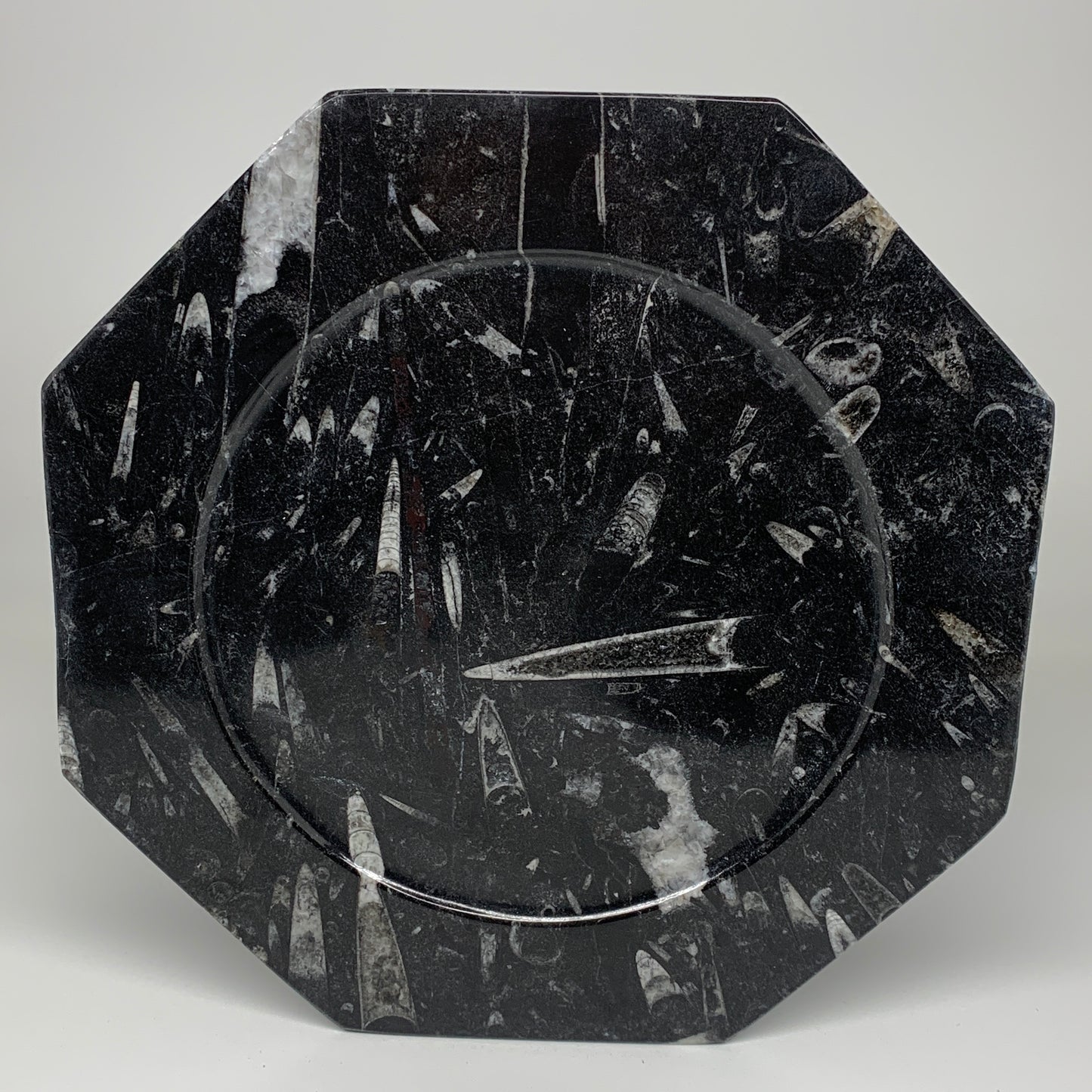 2pcs, 12" Large Octagon Shape Black Fossils Orthoceras Plates @Morocco, B8323