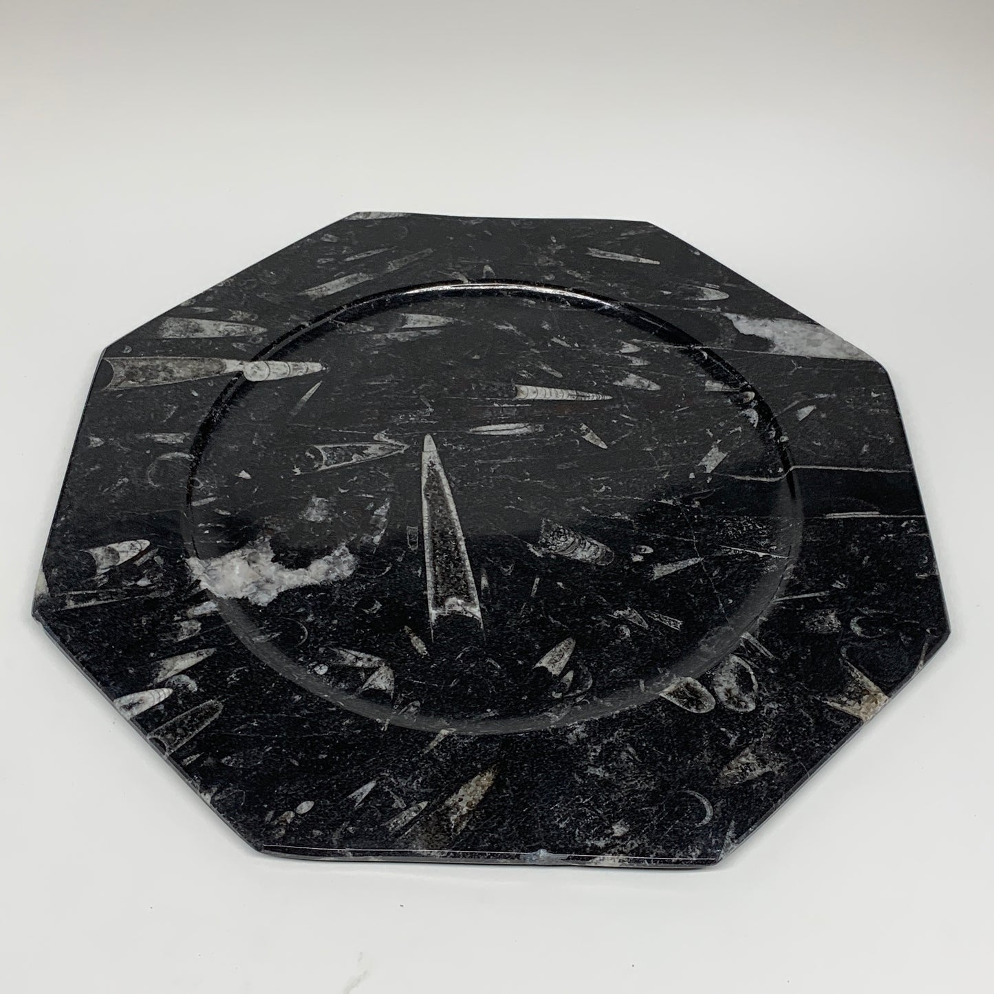 2pcs, 12" Large Octagon Shape Black Fossils Orthoceras Plates @Morocco, B8323