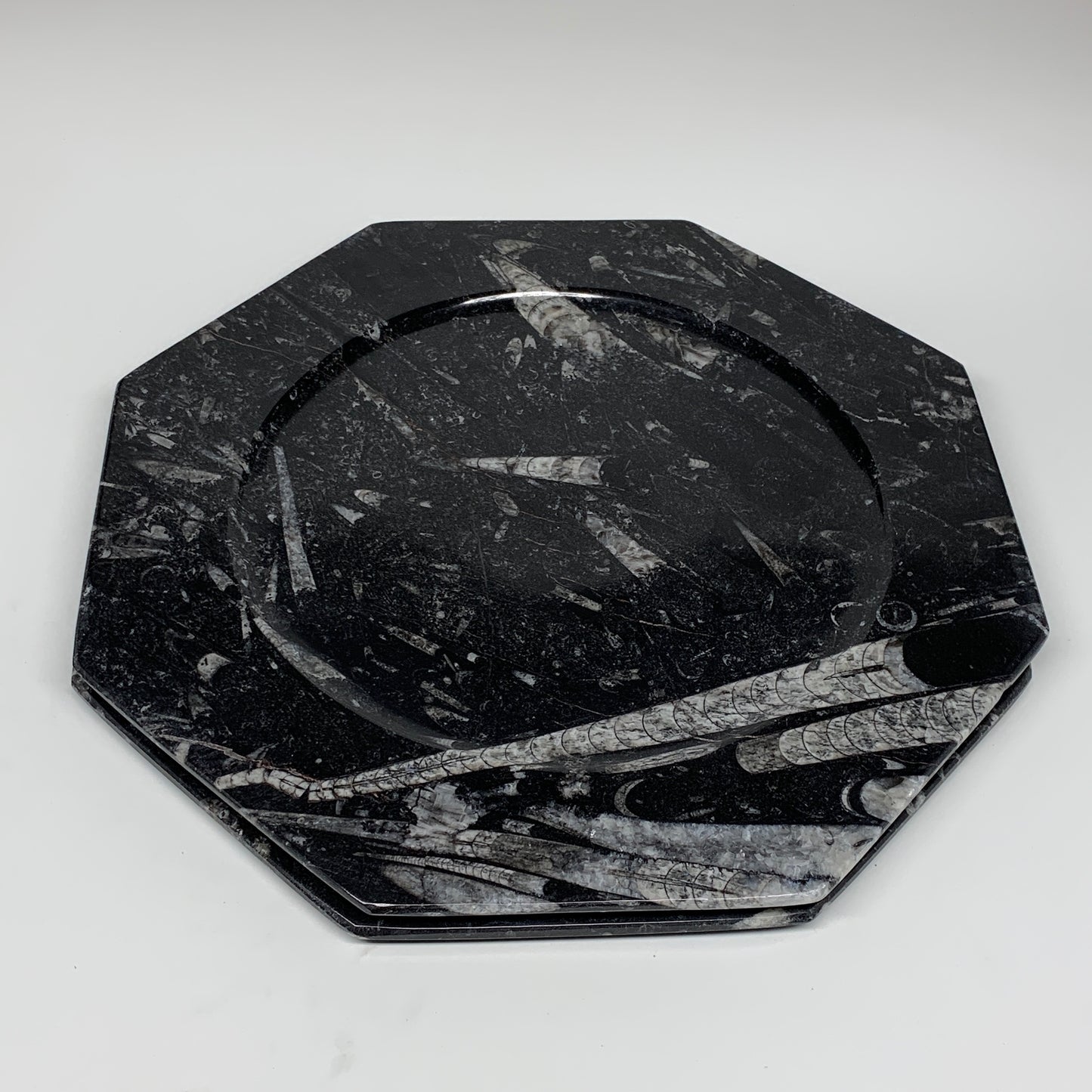 2pcs, 12" Large Octagon Shape Black Fossils Orthoceras Plates @Morocco, B8323