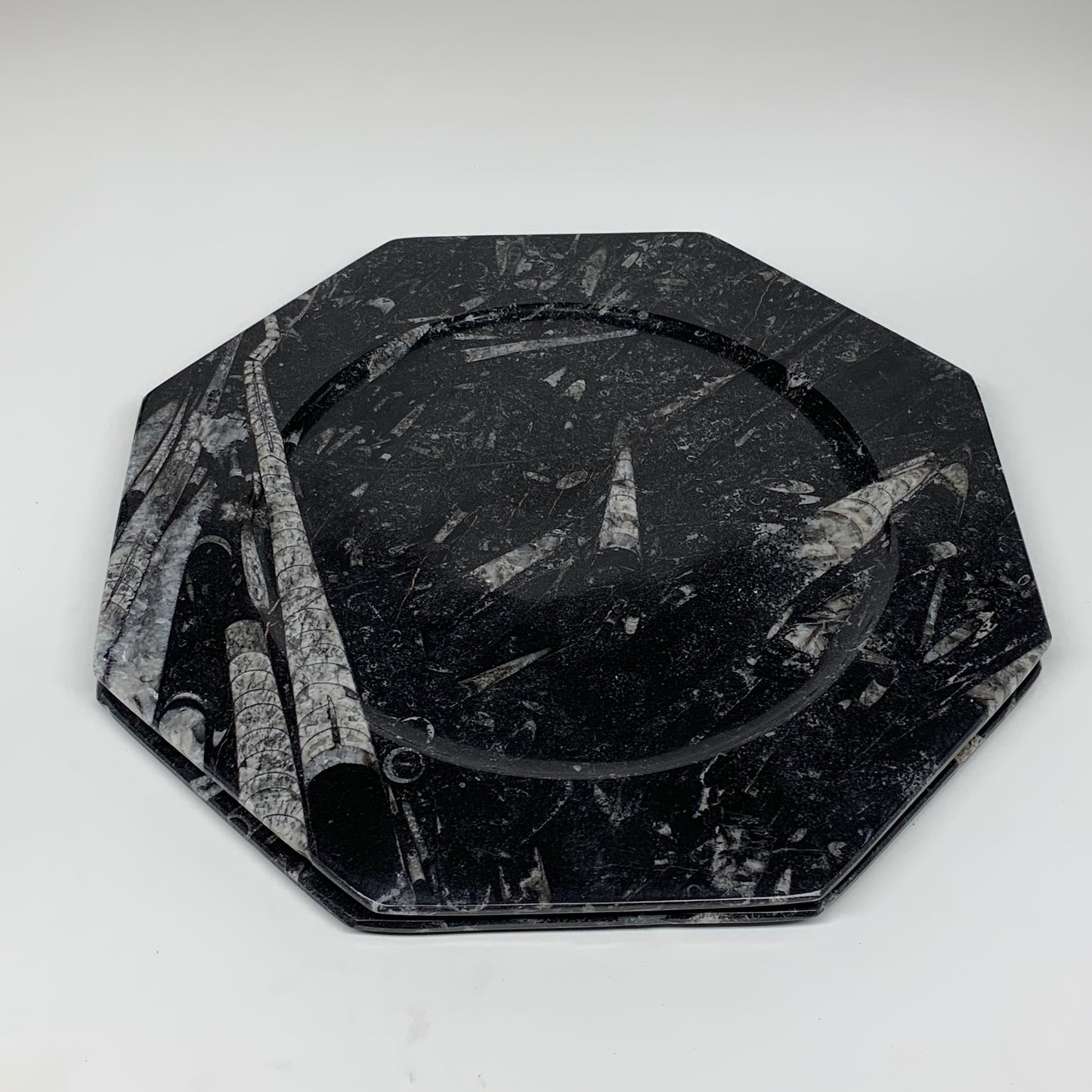 2pcs, 12" Large Octagon Shape Black Fossils Orthoceras Plates @Morocco, B8323