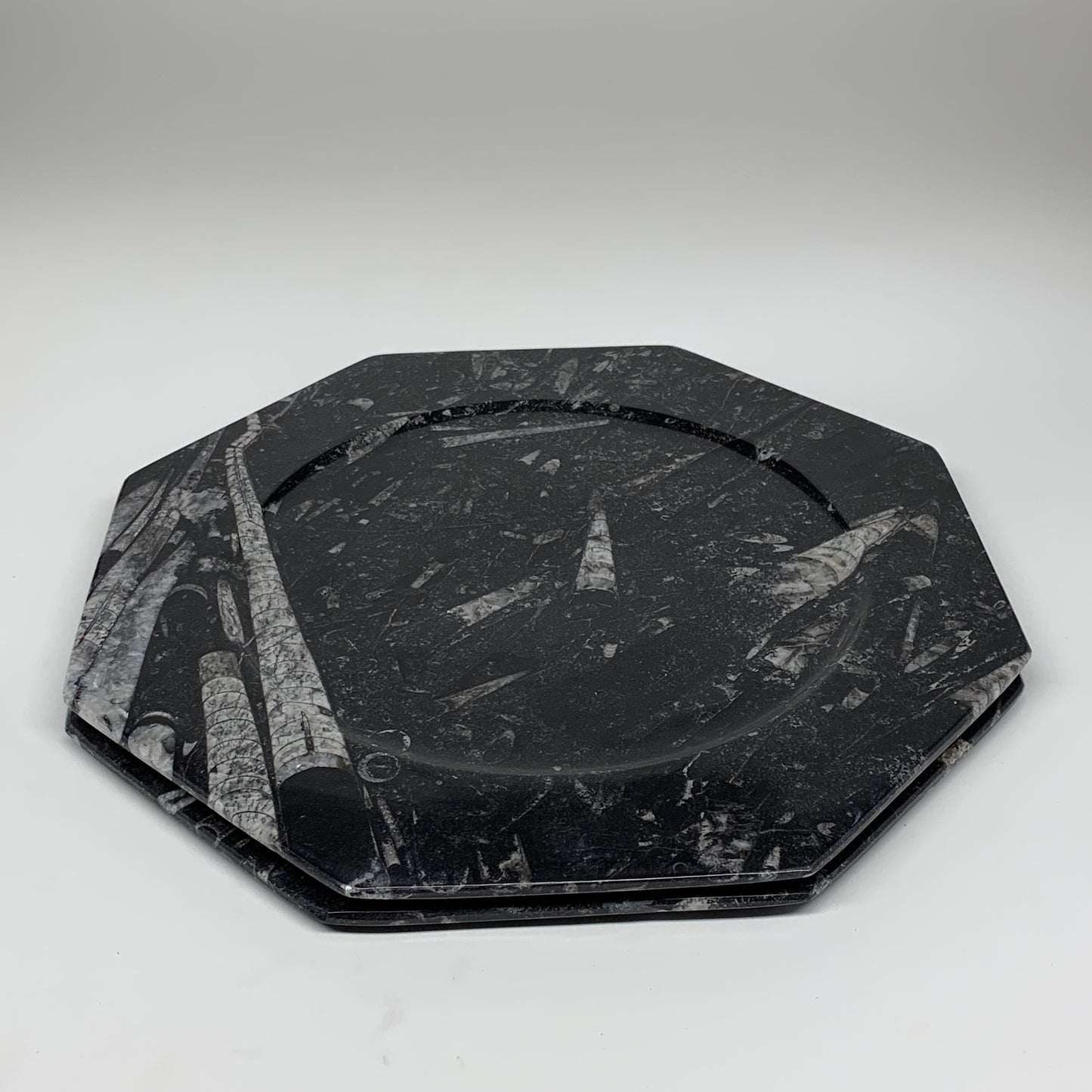 2pcs, 12" Large Octagon Shape Black Fossils Orthoceras Plates @Morocco, B8323