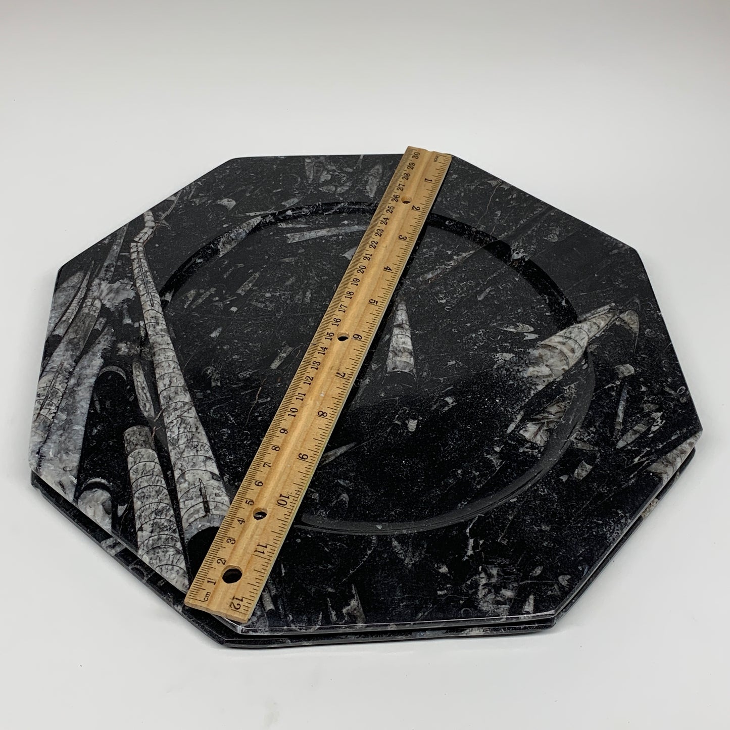 2pcs, 12" Large Octagon Shape Black Fossils Orthoceras Plates @Morocco, B8323