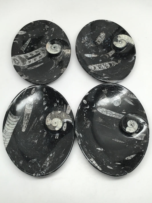 4pcs Lot Oval Black Orthoceras Fossils Small Bowls @Morocco,6.5" x4.8", FPS14 - watangem.com