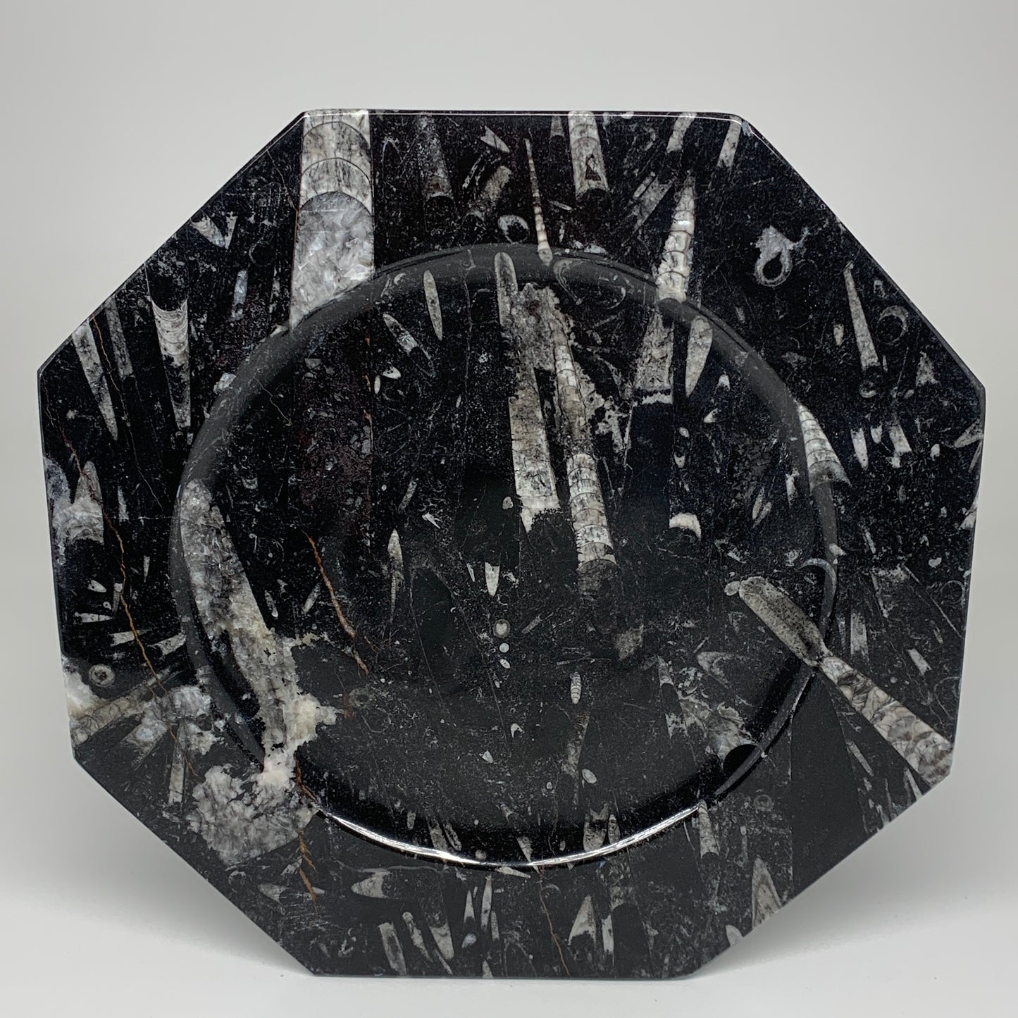 2pcs, 12" Large Octagon Shape Black Fossils Orthoceras Plates @Morocco, B8324