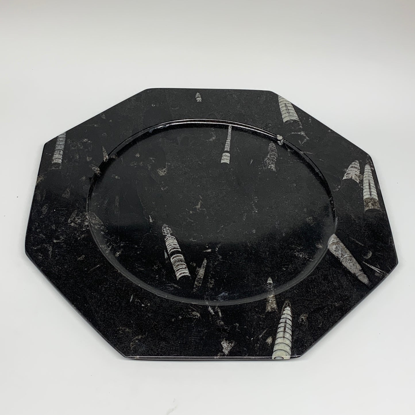 2pcs, 12" Large Octagon Shape Black Fossils Orthoceras Plates @Morocco, B8324