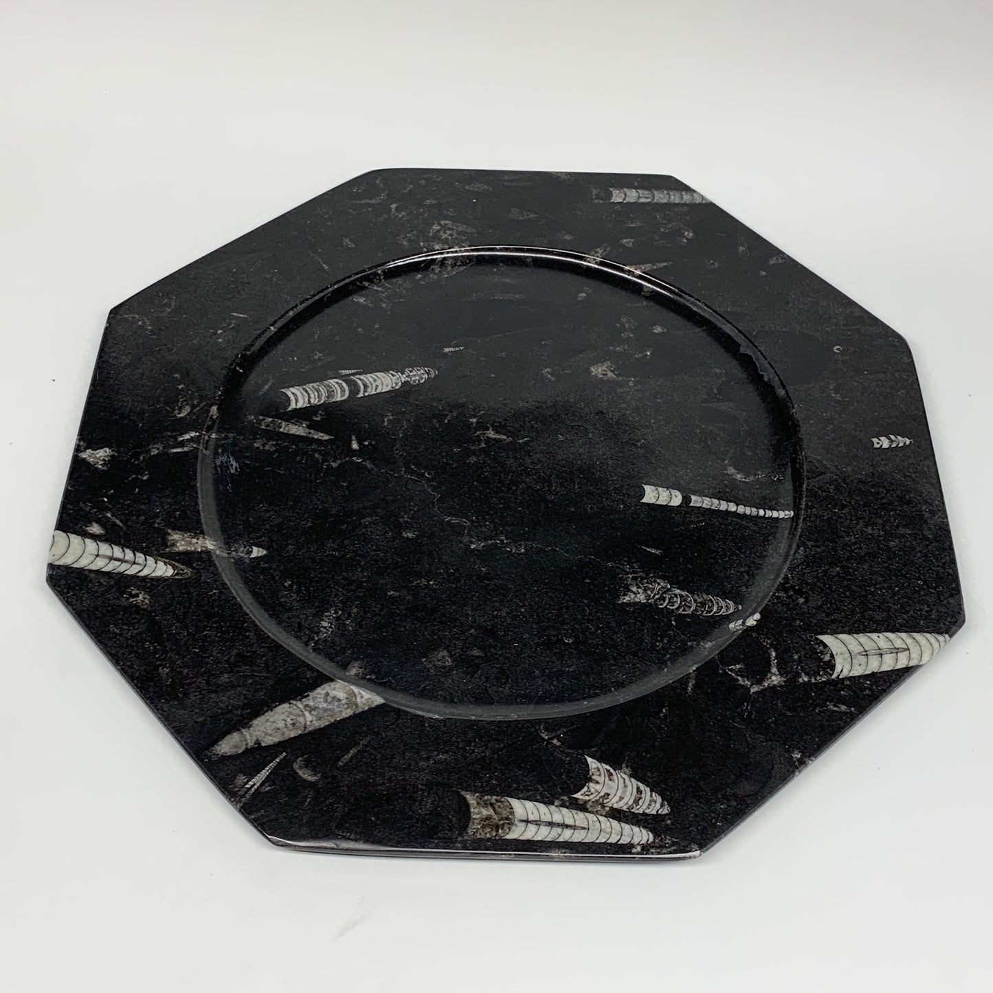 2pcs, 12" Large Octagon Shape Black Fossils Orthoceras Plates @Morocco, B8324
