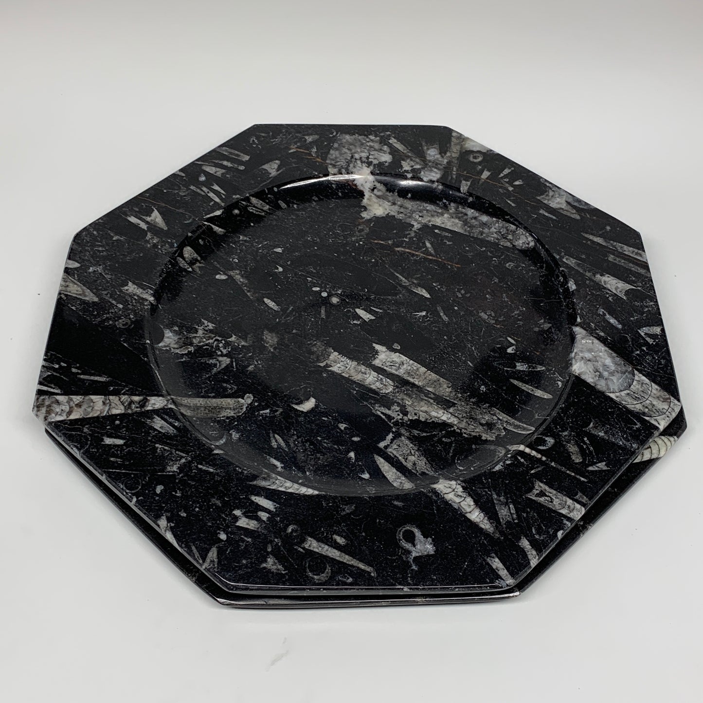 2pcs, 12" Large Octagon Shape Black Fossils Orthoceras Plates @Morocco, B8324