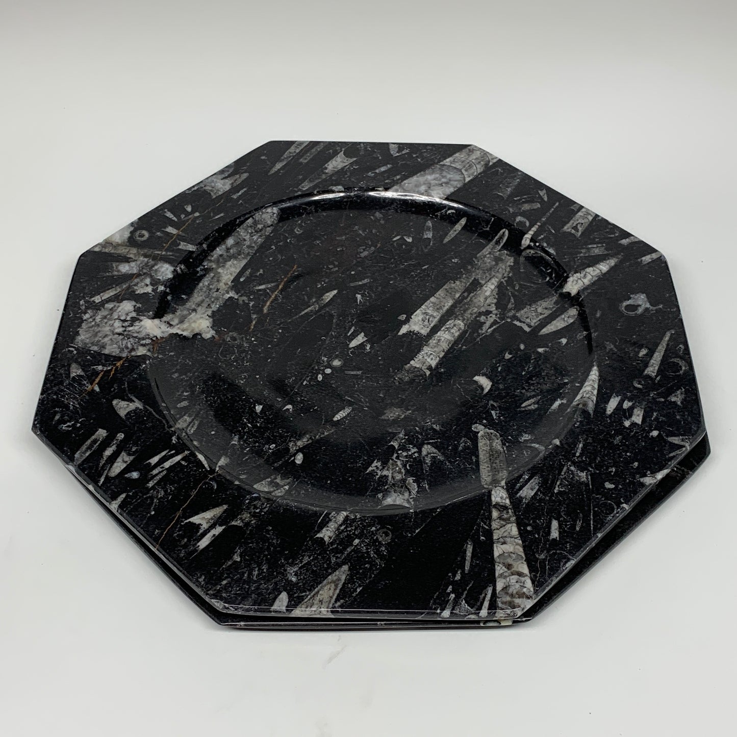 2pcs, 12" Large Octagon Shape Black Fossils Orthoceras Plates @Morocco, B8324