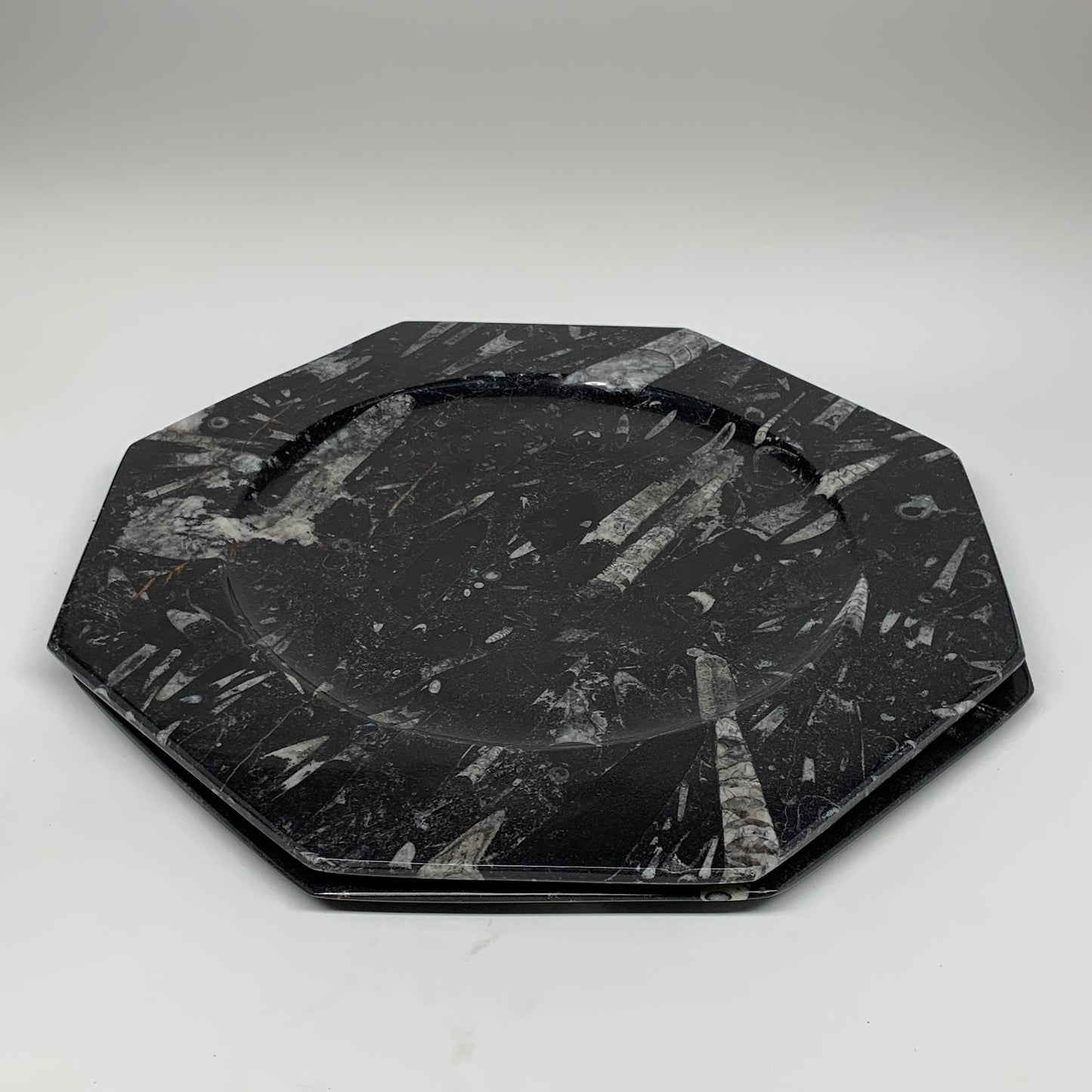 2pcs, 12" Large Octagon Shape Black Fossils Orthoceras Plates @Morocco, B8324