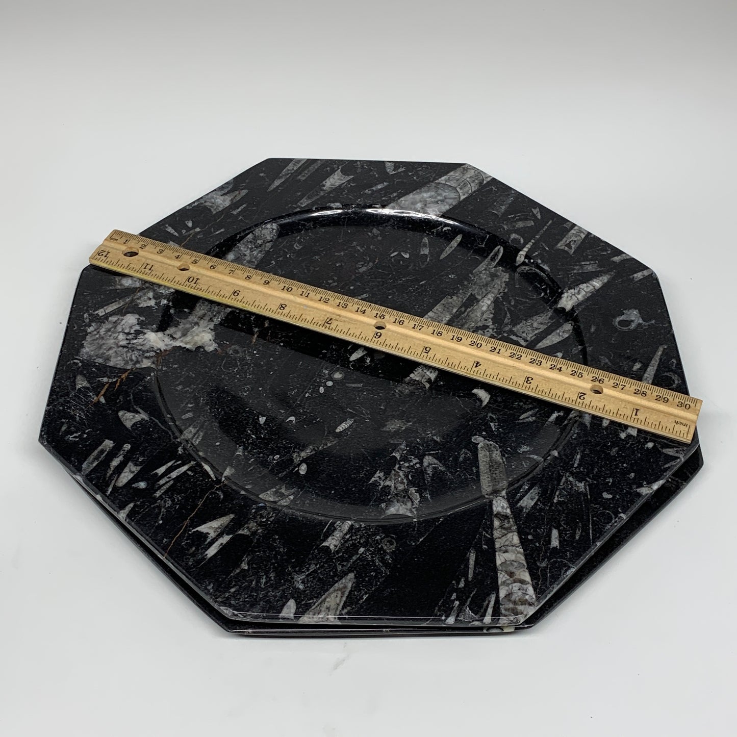 2pcs, 12" Large Octagon Shape Black Fossils Orthoceras Plates @Morocco, B8324