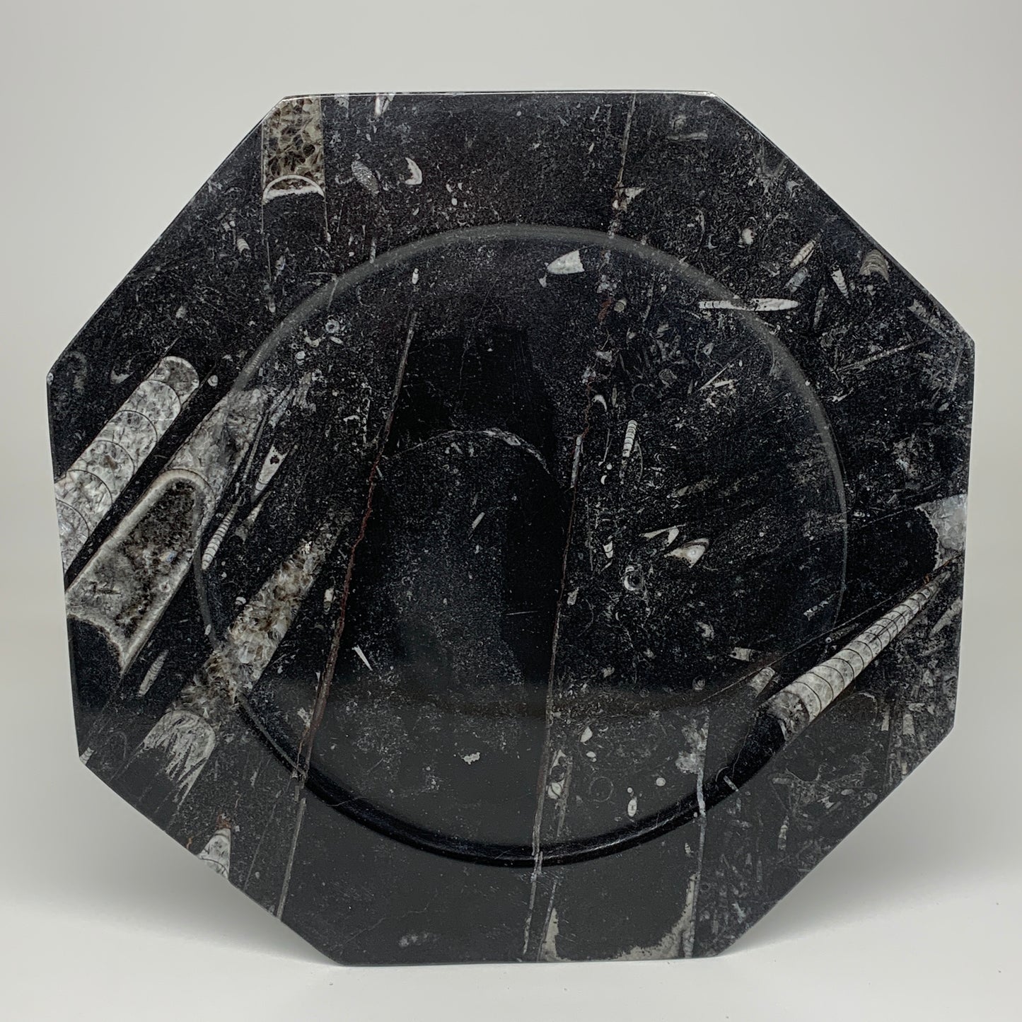 2pcs, 12" Large Octagon Shape Black Fossils Orthoceras Plates @Morocco, B8327