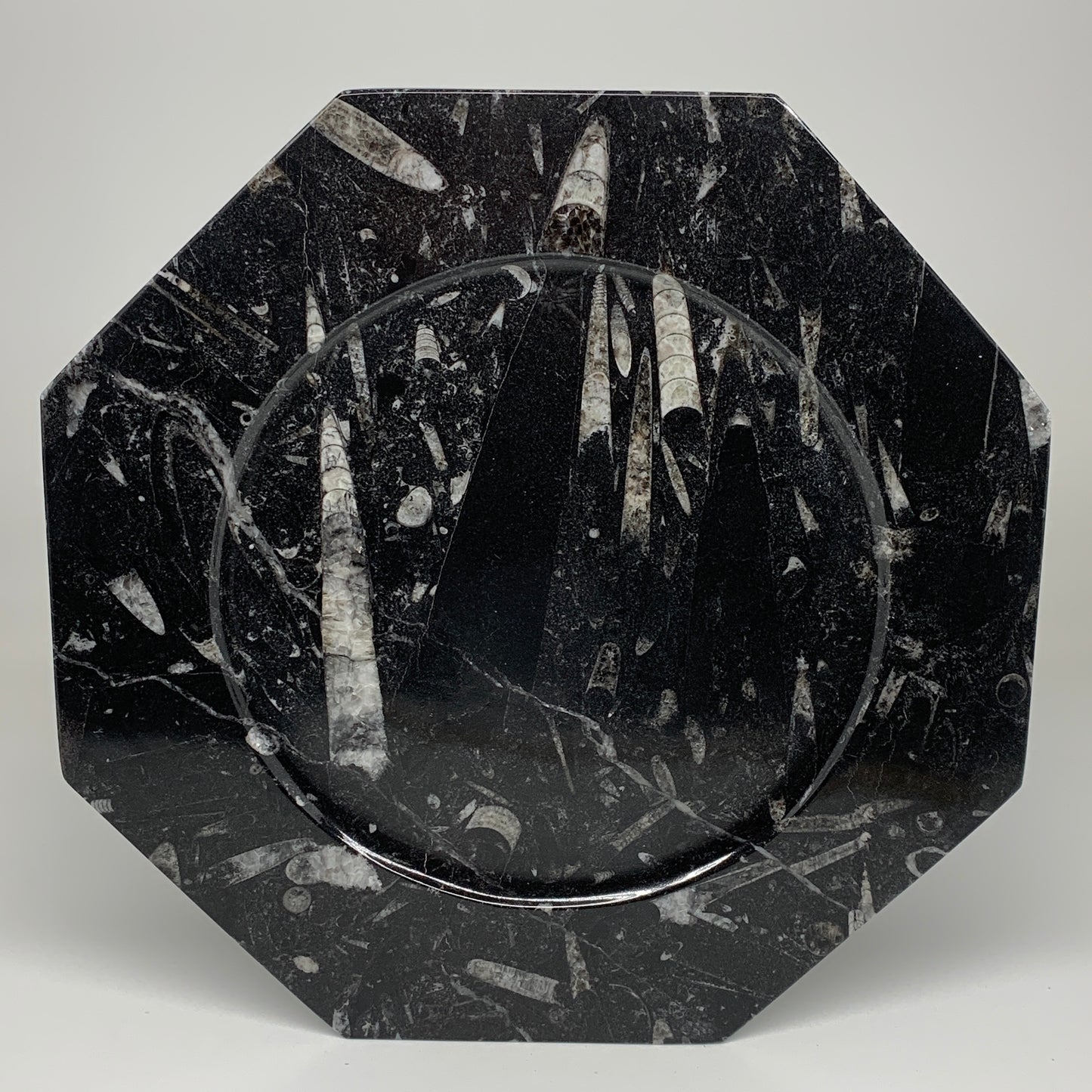 2pcs, 12" Large Octagon Shape Black Fossils Orthoceras Plates @Morocco, B8327