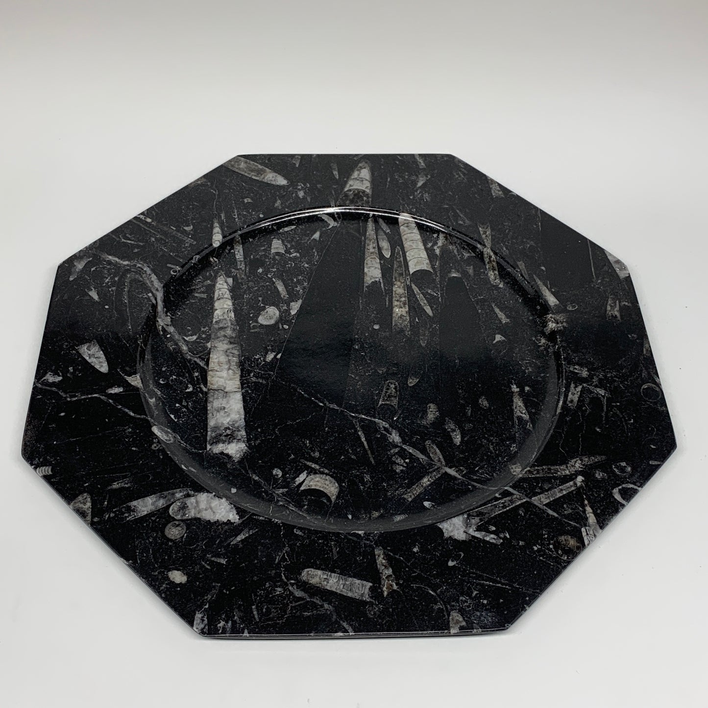 2pcs, 12" Large Octagon Shape Black Fossils Orthoceras Plates @Morocco, B8327