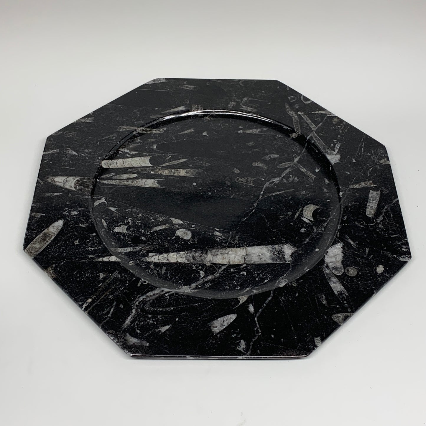 2pcs, 12" Large Octagon Shape Black Fossils Orthoceras Plates @Morocco, B8327