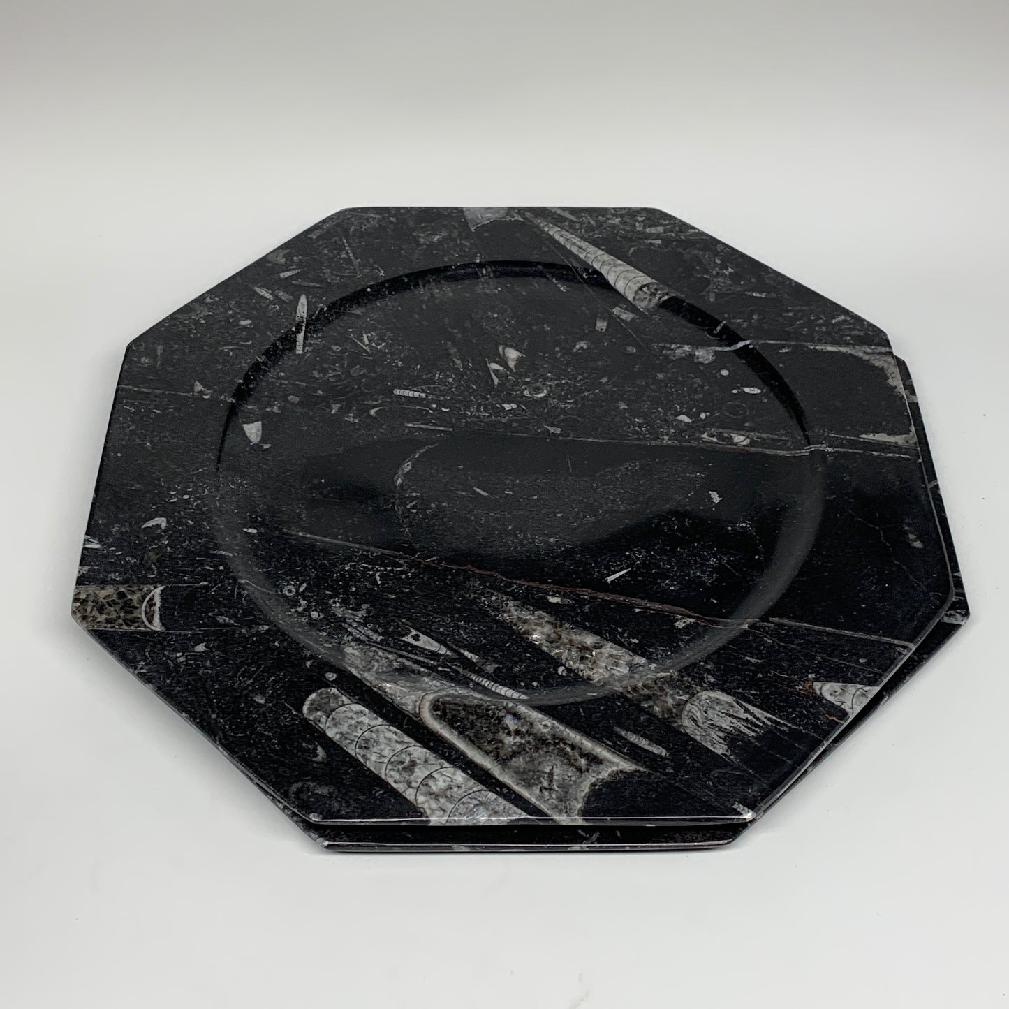 2pcs, 12" Large Octagon Shape Black Fossils Orthoceras Plates @Morocco, B8327