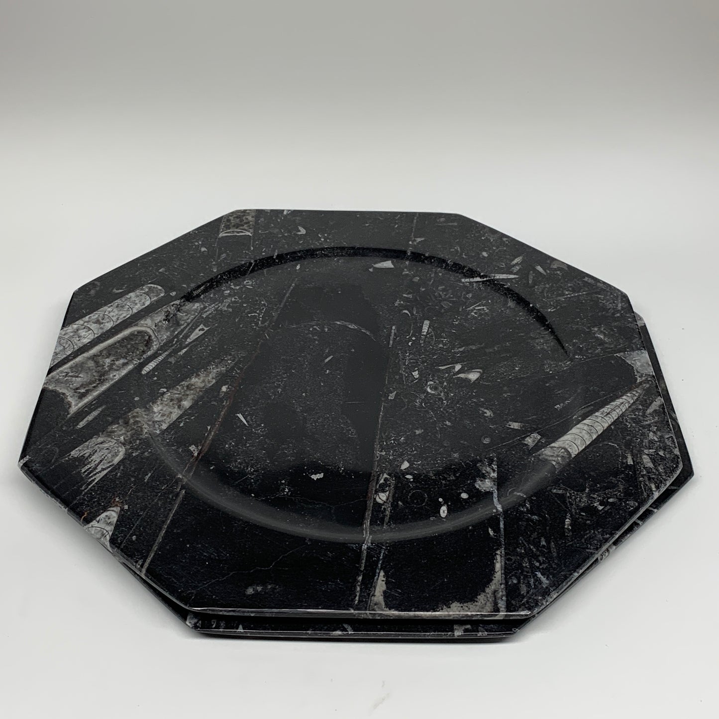 2pcs, 12" Large Octagon Shape Black Fossils Orthoceras Plates @Morocco, B8327