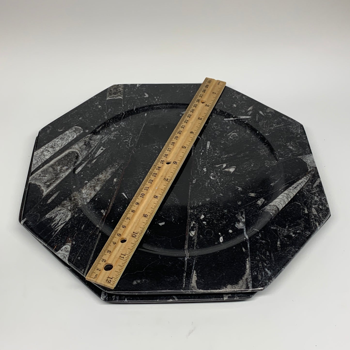 2pcs, 12" Large Octagon Shape Black Fossils Orthoceras Plates @Morocco, B8327