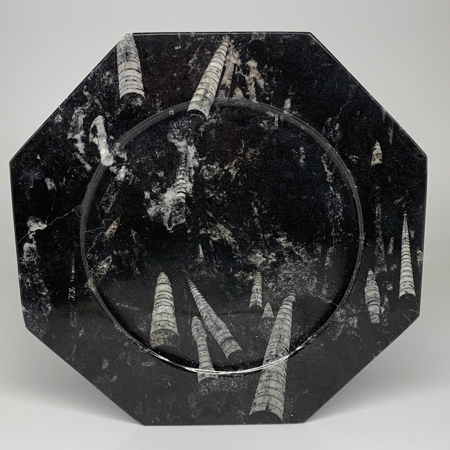 2pcs, 12" Large Octagon Shape Black Fossils Orthoceras Plates @Morocco, B8328