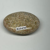 60.4g,2.2"x1.7"x0.8", Small Dinosaur Bones Palm-Stone from Morocco, B20490