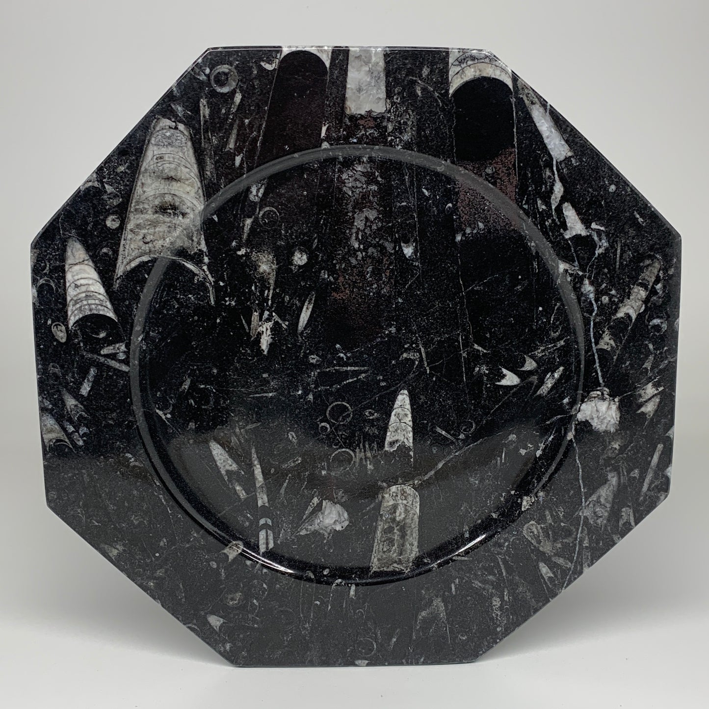 2pcs, 12" Large Octagon Shape Black Fossils Orthoceras Plates @Morocco, B8328