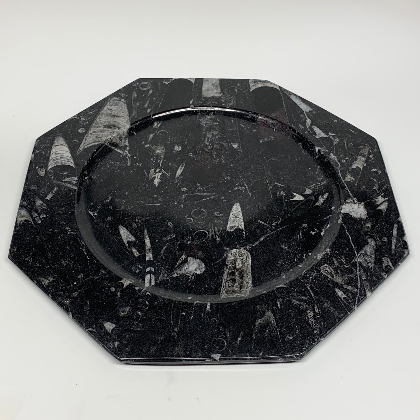 2pcs, 12" Large Octagon Shape Black Fossils Orthoceras Plates @Morocco, B8328