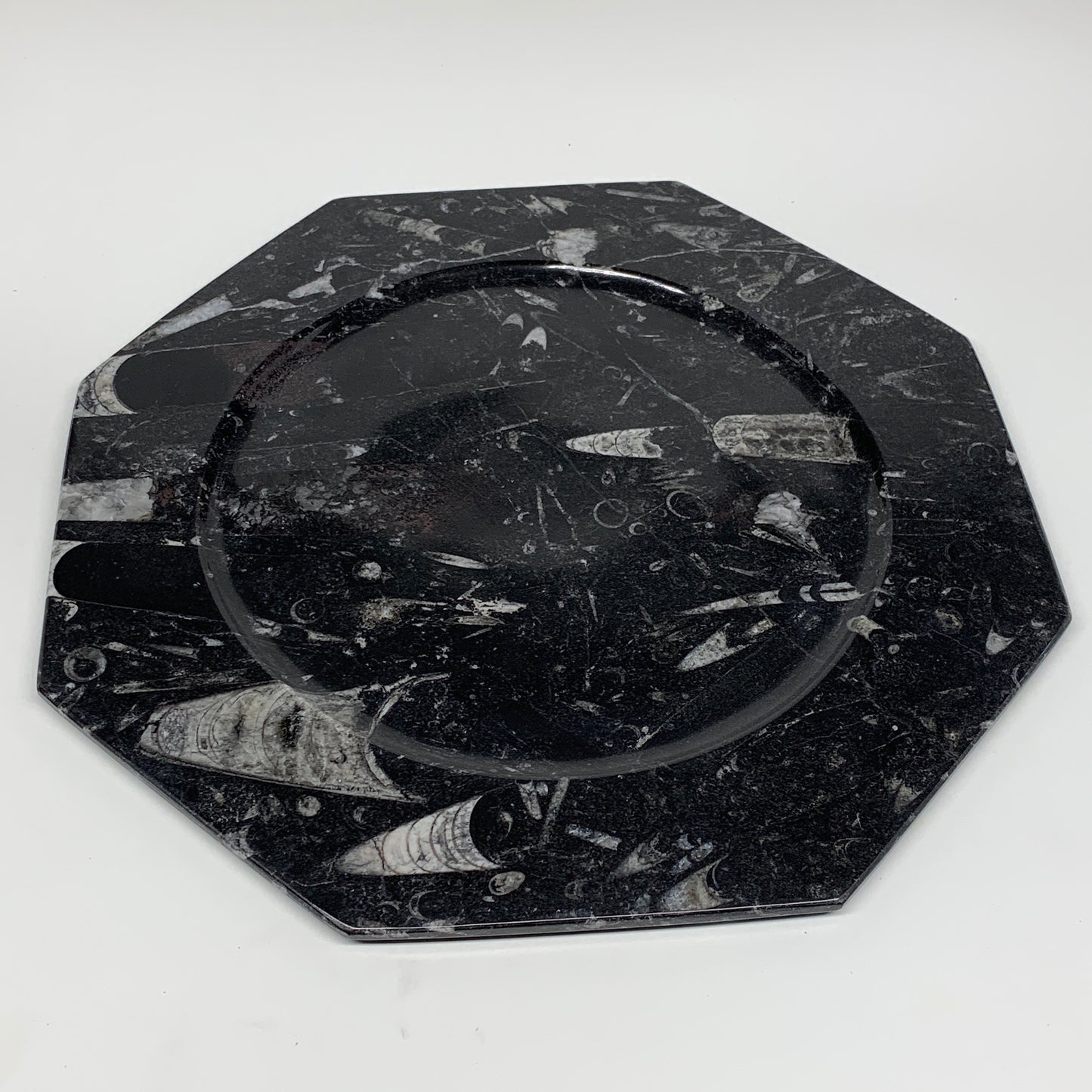 2pcs, 12" Large Octagon Shape Black Fossils Orthoceras Plates @Morocco, B8328