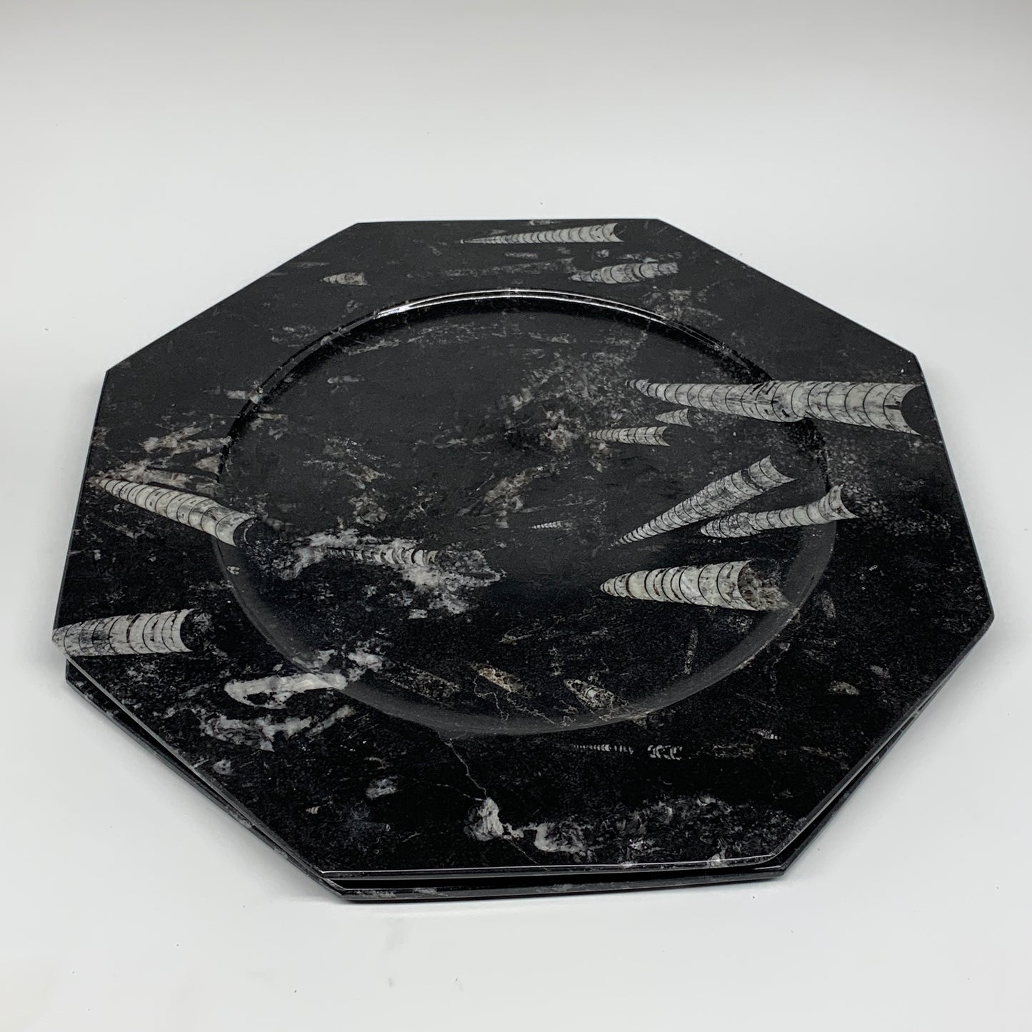 2pcs, 12" Large Octagon Shape Black Fossils Orthoceras Plates @Morocco, B8328