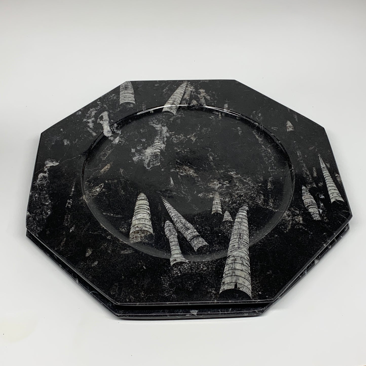 2pcs, 12" Large Octagon Shape Black Fossils Orthoceras Plates @Morocco, B8328
