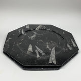 2pcs, 12" Large Octagon Shape Black Fossils Orthoceras Plates @Morocco, B8328