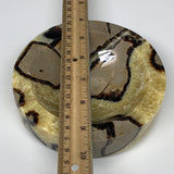 1106g, 5.5"x1.4" Natural Round Septarian Bowl Plate Dish Ashtray, B6369