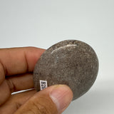 54.9g,2.2"x1.7"x0.7", Small Dinosaur Bones Palm-Stone from Morocco, B20491