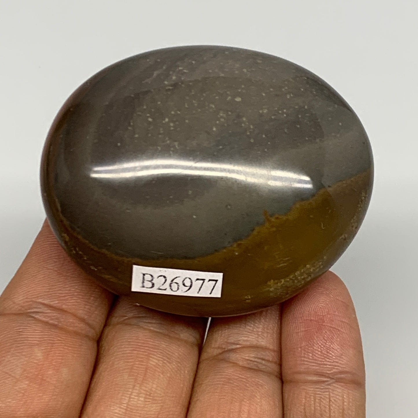 109.7g, 2.3"x2"x1.1", Polychrome Jasper Palm-Stone Reiki @Madagascar, B26977