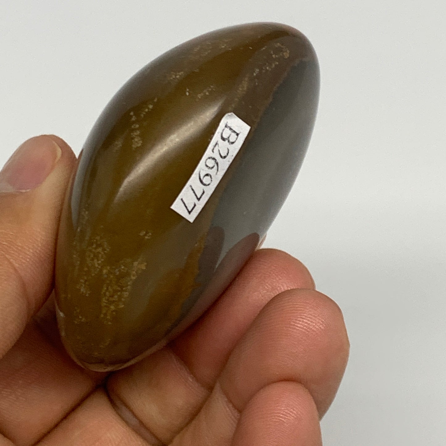109.7g, 2.3"x2"x1.1", Polychrome Jasper Palm-Stone Reiki @Madagascar, B26977