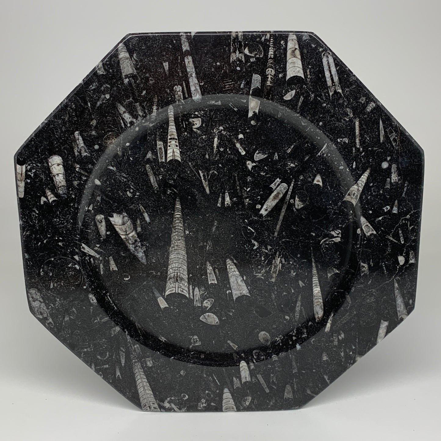 2pcs, 12" Large Octagon Shape Black Fossils Orthoceras Plates @Morocco, B8330