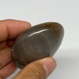 109.7g, 2.3"x2"x1.1", Polychrome Jasper Palm-Stone Reiki @Madagascar, B26977