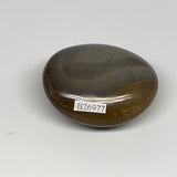 109.7g, 2.3"x2"x1.1", Polychrome Jasper Palm-Stone Reiki @Madagascar, B26977