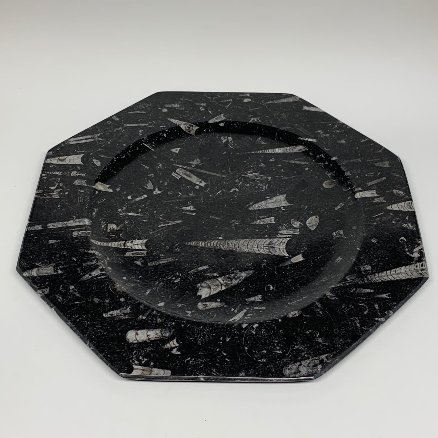 2pcs, 12" Large Octagon Shape Black Fossils Orthoceras Plates @Morocco, B8330