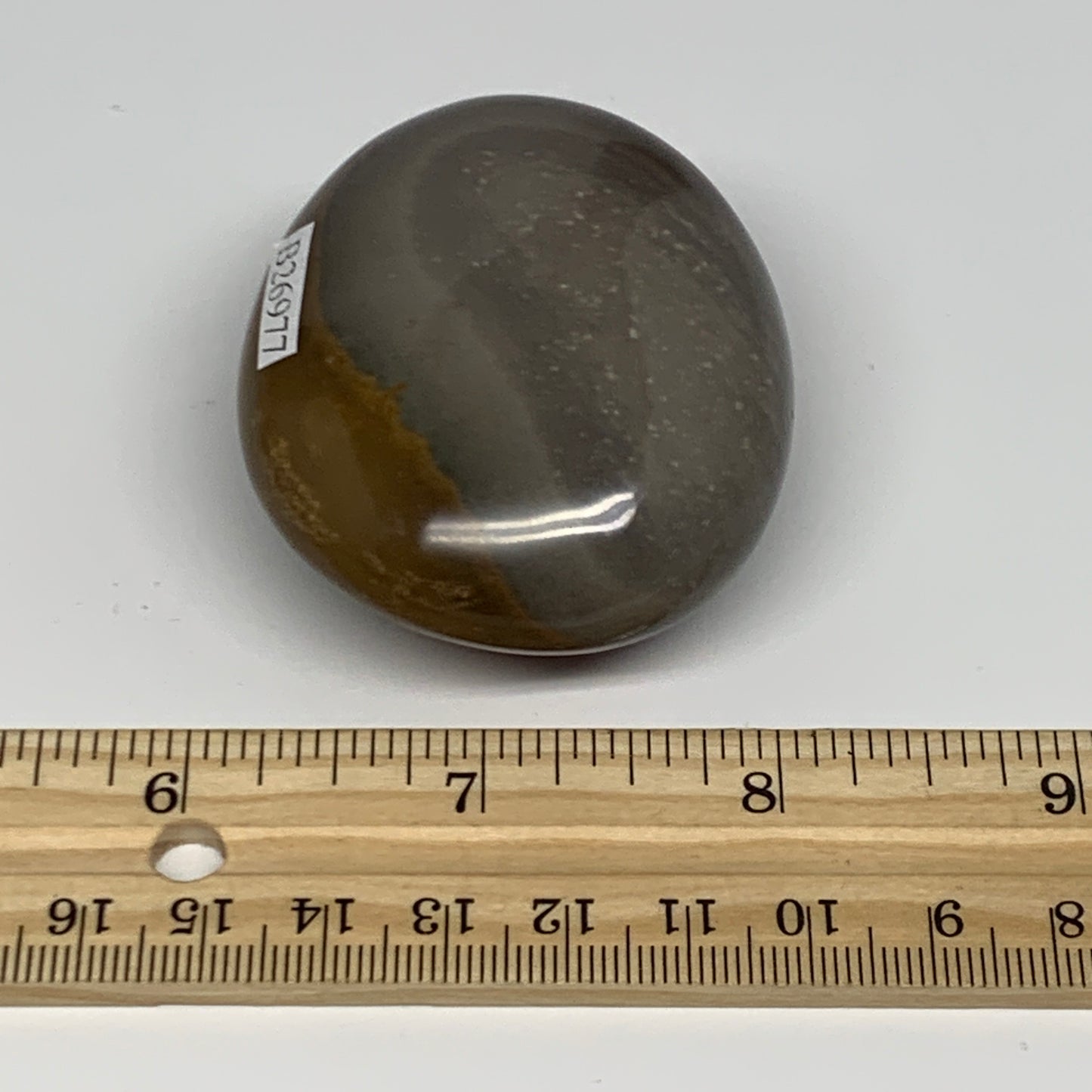 109.7g, 2.3"x2"x1.1", Polychrome Jasper Palm-Stone Reiki @Madagascar, B26977