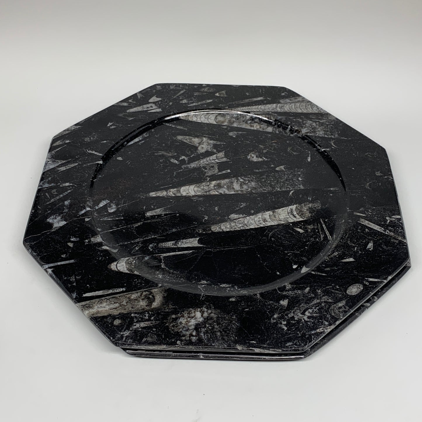 2pcs, 12" Large Octagon Shape Black Fossils Orthoceras Plates @Morocco, B8330