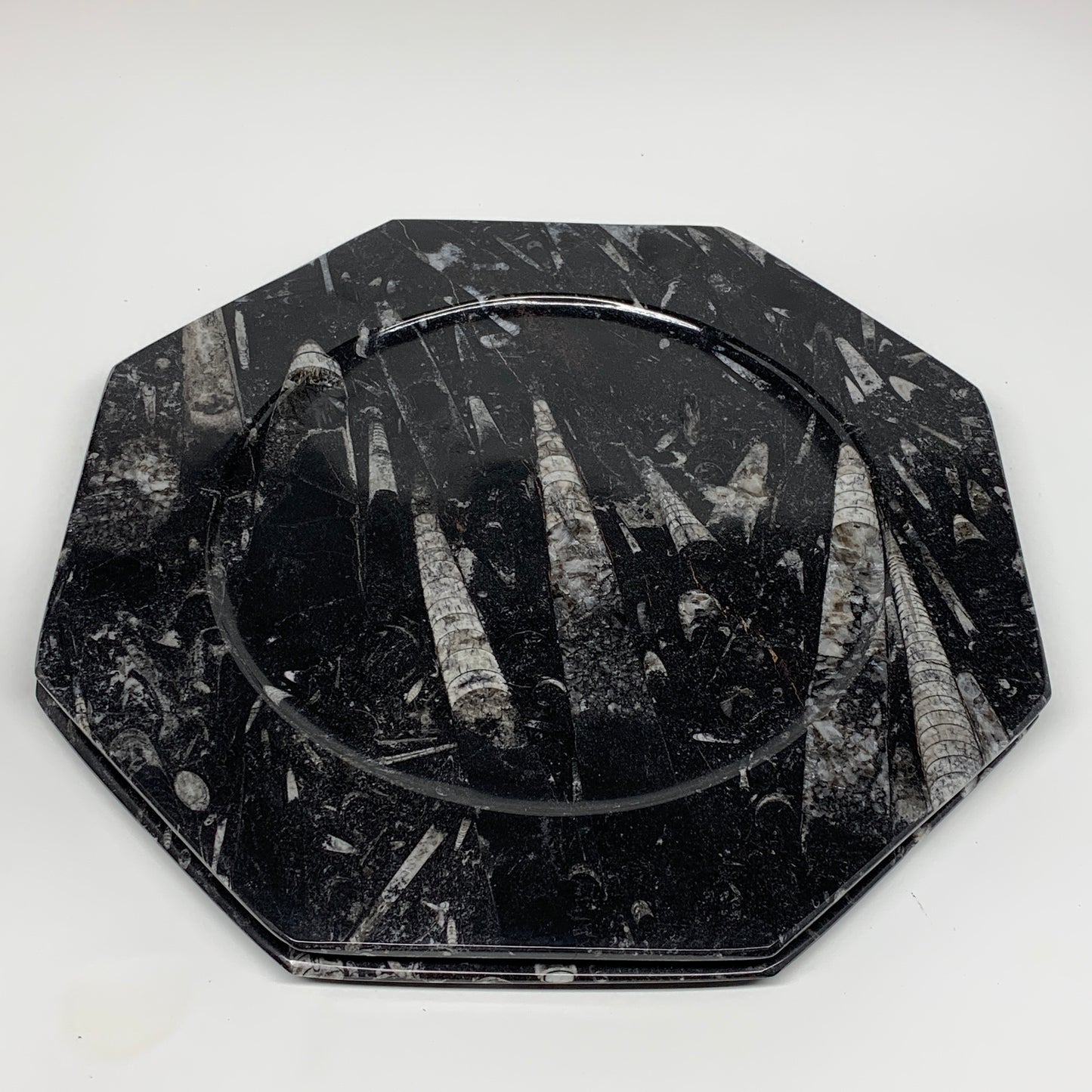 2pcs, 12" Large Octagon Shape Black Fossils Orthoceras Plates @Morocco, B8330