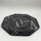2pcs, 12" Large Octagon Shape Black Fossils Orthoceras Plates @Morocco, B8330