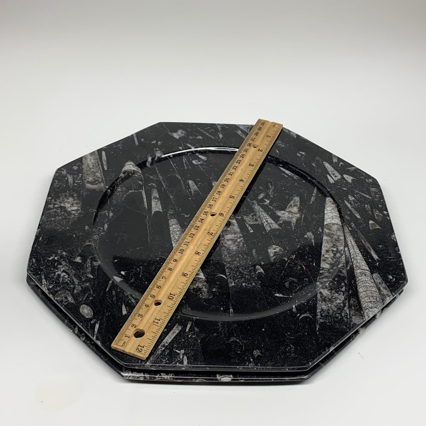 2pcs, 12" Large Octagon Shape Black Fossils Orthoceras Plates @Morocco, B8330