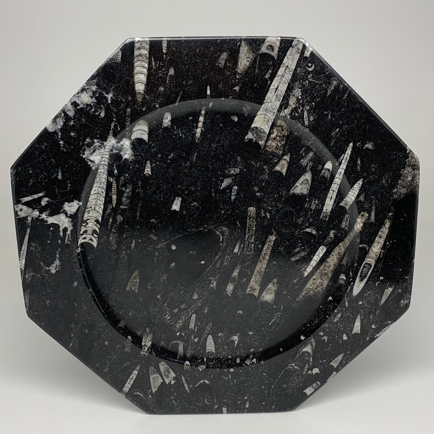 2pcs, 12" Large Octagon Shape Black Fossils Orthoceras Plates @Morocco, B8331