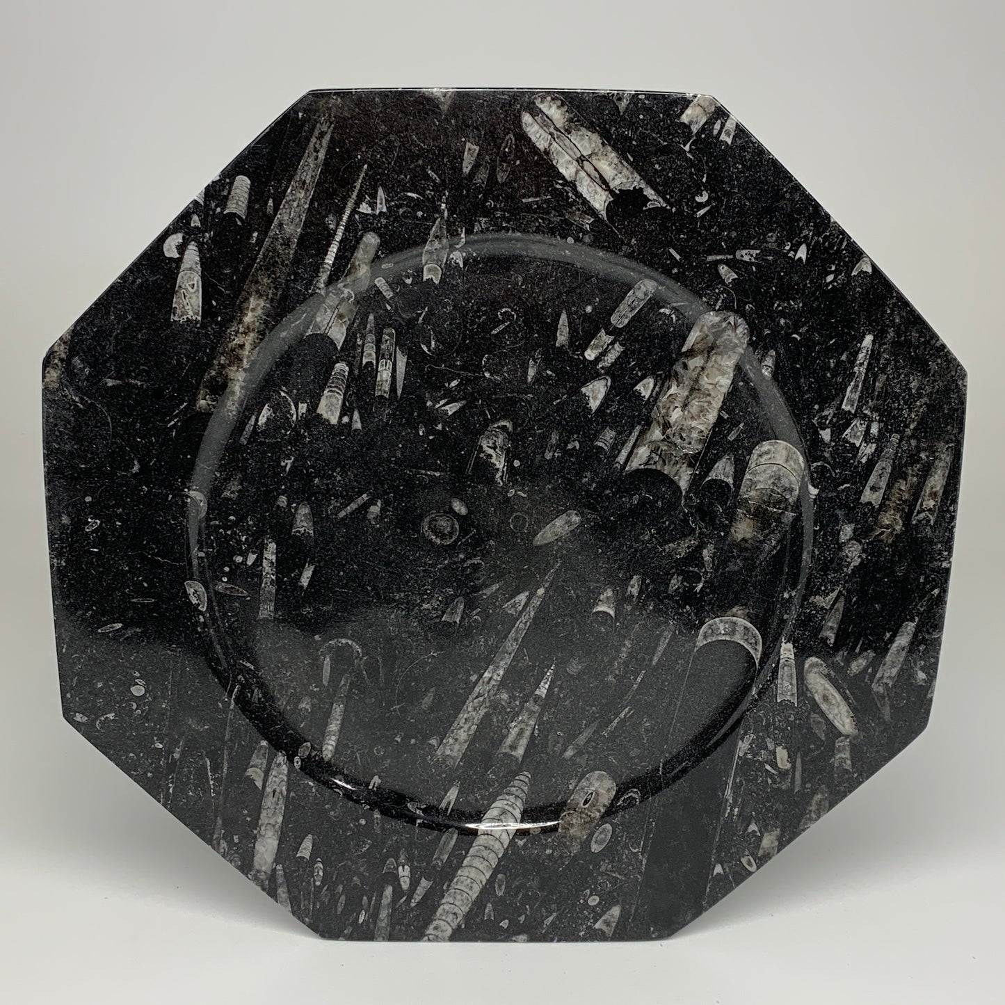 2pcs, 12" Large Octagon Shape Black Fossils Orthoceras Plates @Morocco, B8331